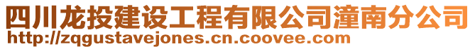 四川龙投建设工程有限公司潼南分公司