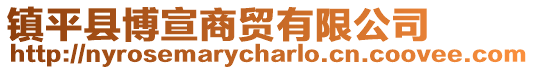 鎮(zhèn)平縣博宣商貿(mào)有限公司