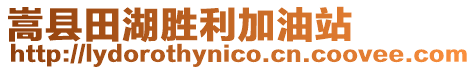 嵩縣田湖勝利加油站