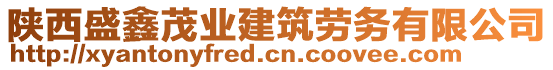 陜西盛鑫茂業(yè)建筑勞務(wù)有限公司