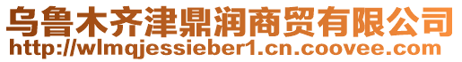 烏魯木齊津鼎潤商貿有限公司