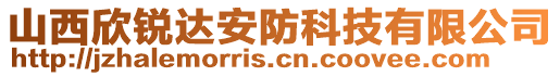 山西欣銳達安防科技有限公司