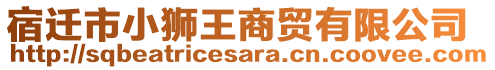 宿遷市小獅王商貿(mào)有限公司