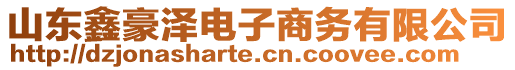 山東鑫豪澤電子商務(wù)有限公司