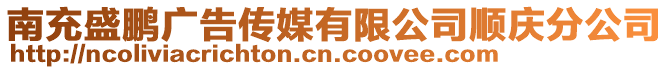 南充盛鵬廣告?zhèn)髅接邢薰卷槕c分公司