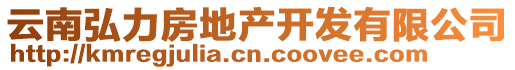 云南弘力房地產(chǎn)開發(fā)有限公司