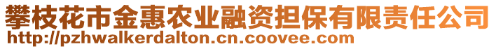 攀枝花市金惠農(nóng)業(yè)融資擔(dān)保有限責(zé)任公司