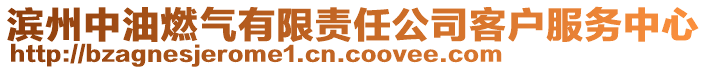 濱州中油燃?xì)庥邢挢?zé)任公司客戶服務(wù)中心