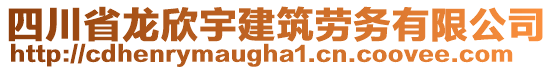 四川省龍欣宇建筑勞務有限公司