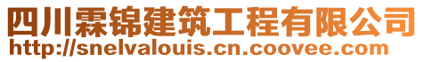 四川霖錦建筑工程有限公司