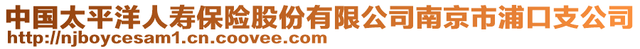 中國(guó)太平洋人壽保險(xiǎn)股份有限公司南京市浦口支公司