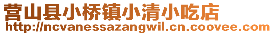 營(yíng)山縣小橋鎮(zhèn)小清小吃店