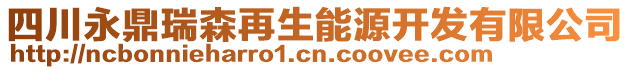 四川永鼎瑞森再生能源開(kāi)發(fā)有限公司