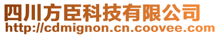 四川方臣科技有限公司