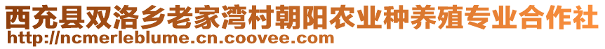 西充縣雙洛鄉(xiāng)老家灣村朝陽(yáng)農(nóng)業(yè)種養(yǎng)殖專業(yè)合作社