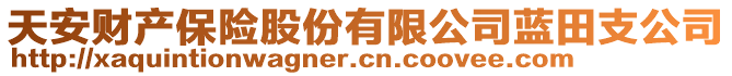 天安財(cái)產(chǎn)保險(xiǎn)股份有限公司藍(lán)田支公司