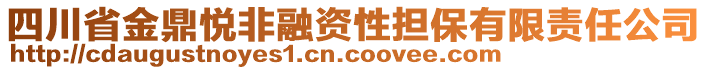 四川省金鼎悅非融資性擔(dān)保有限責(zé)任公司