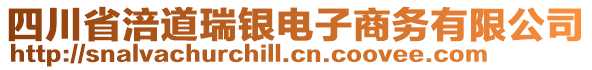 四川省涪道瑞銀電子商務(wù)有限公司