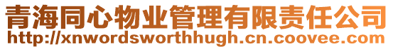 青海同心物業管理有限責任公司