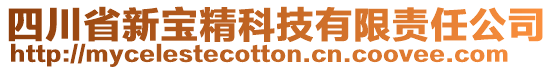 四川省新寶精科技有限責(zé)任公司