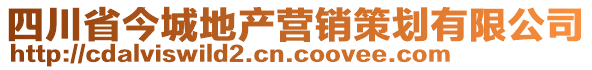 四川省今城地產(chǎn)營銷策劃有限公司