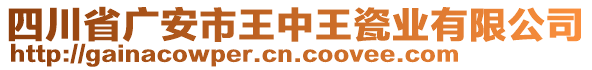 四川省廣安市王中王瓷業(yè)有限公司