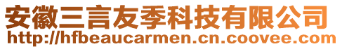 安徽三言友季科技有限公司