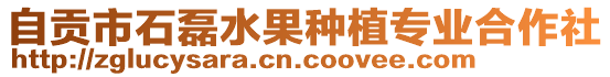 自貢市石磊水果種植專業合作社