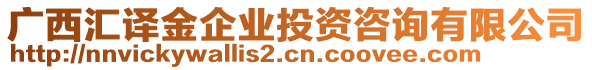 廣西匯譯金企業(yè)投資咨詢有限公司