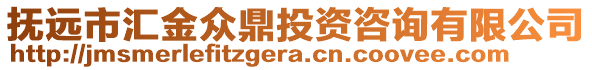 撫遠市匯金眾鼎投資咨詢有限公司