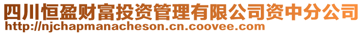 四川恒盈財富投資管理有限公司資中分公司