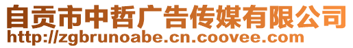 自貢市中哲廣告?zhèn)髅接邢薰? style=