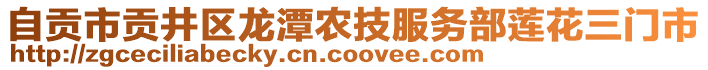 自貢市貢井區(qū)龍?zhí)掇r(nóng)技服務(wù)部蓮花三門(mén)市