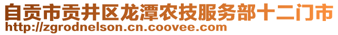 自貢市貢井區(qū)龍?zhí)掇r(nóng)技服務(wù)部十二門(mén)市