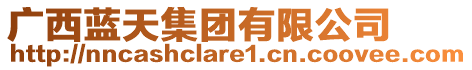 廣西藍(lán)天集團(tuán)有限公司