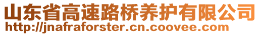 山東省高速路橋養(yǎng)護(hù)有限公司