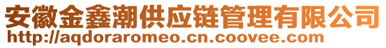 安徽金鑫潮供應(yīng)鏈管理有限公司