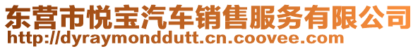 東營市悅寶汽車銷售服務(wù)有限公司