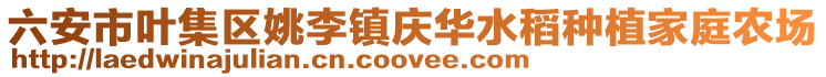 六安市葉集區(qū)姚李鎮(zhèn)慶華水稻種植家庭農(nóng)場(chǎng)