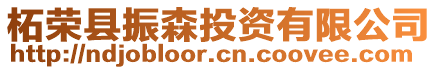 柘榮縣振森投資有限公司