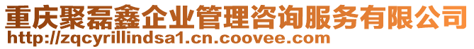 重慶聚磊鑫企業(yè)管理咨詢服務有限公司