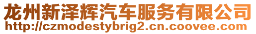 龍州新澤輝汽車服務有限公司