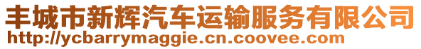 豐城市新輝汽車運(yùn)輸服務(wù)有限公司