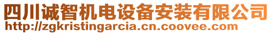 四川誠智機(jī)電設(shè)備安裝有限公司