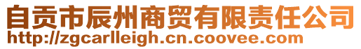 自贡市辰州商贸有限责任公司