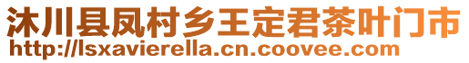 沐川縣鳳村鄉(xiāng)王定君茶葉門市