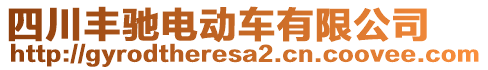 四川豐馳電動(dòng)車有限公司