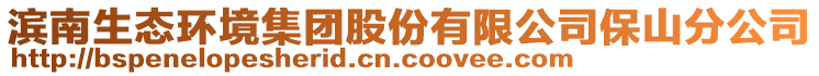 濱南生態(tài)環(huán)境集團股份有限公司保山分公司