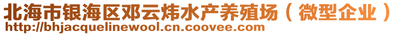 北海市银海区邓云炜水产养殖场（微型企业）