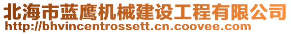 北海市藍(lán)鷹機(jī)械建設(shè)工程有限公司